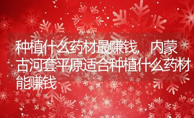 种植什么药材最赚钱,内蒙古河套平原适合种植什么药材能赚钱 | 养殖学堂