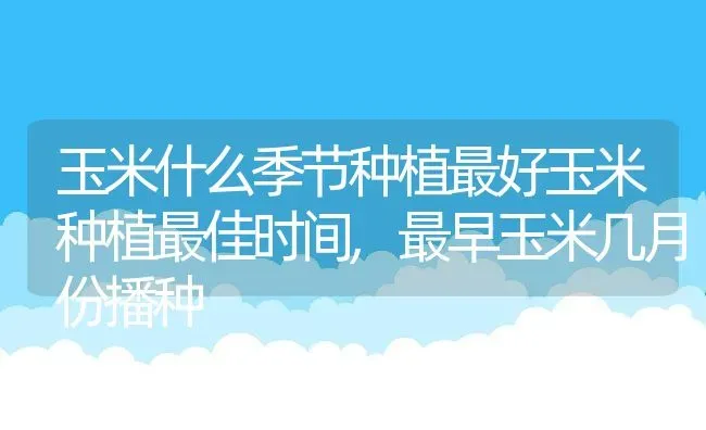 玉米什么季节种植最好玉米种植最佳时间,最早玉米几月份播种 | 养殖学堂