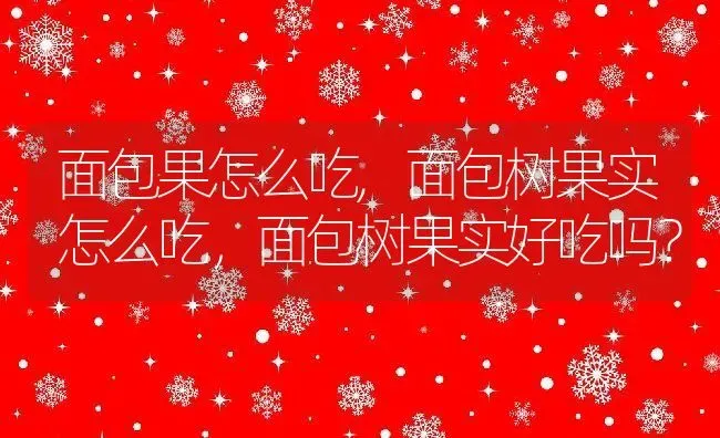 面包果怎么吃,面包树果实怎么吃，面包树果实好吃吗？ | 养殖学堂