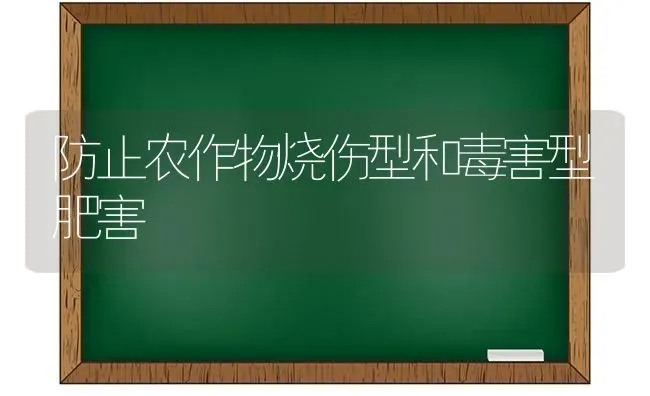 防止农作物烧伤型和毒害型肥害 | 养殖知识