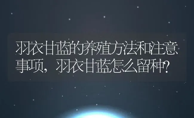 羽衣甘蓝的养殖方法和注意事项,羽衣甘蓝怎么留种？ | 养殖科普