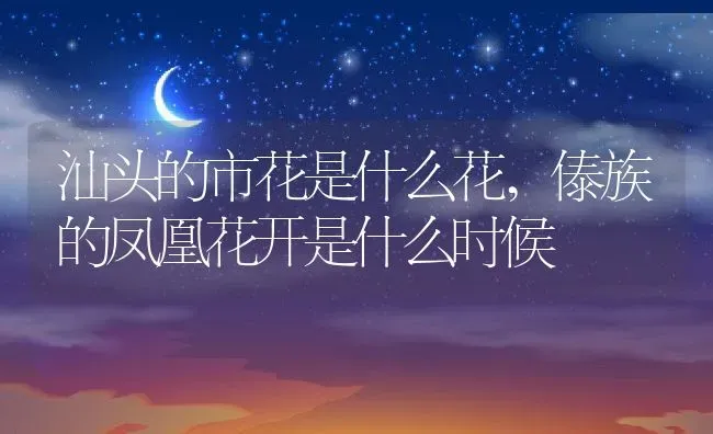 汕头的市花是什么花,傣族的凤凰花开是什么时候 | 养殖学堂