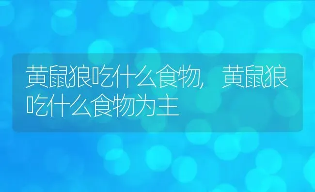 黄鼠狼吃什么食物,黄鼠狼吃什么食物为主 | 养殖资料