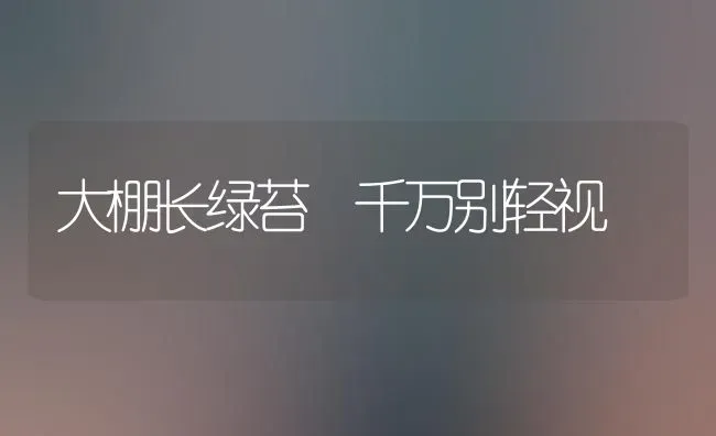 大棚长绿苔 千万别轻视 | 养殖技术大全