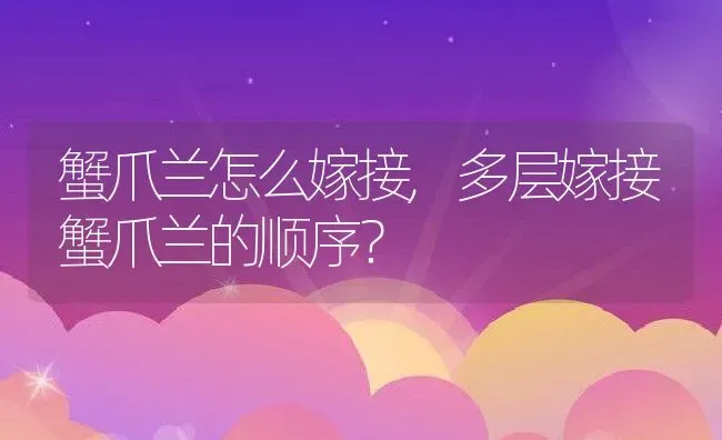 蟹爪兰怎么嫁接,多层嫁接蟹爪兰的顺序？ | 养殖学堂