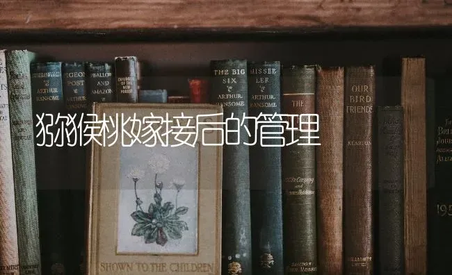 猕猴桃嫁接后的管理 | 养殖知识