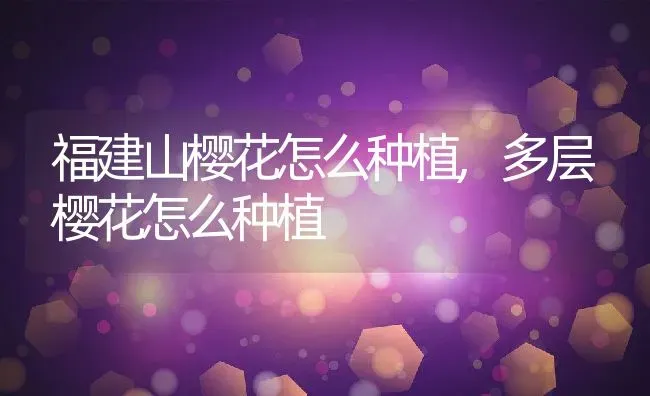 福建山樱花怎么种植,多层樱花怎么种植 | 养殖学堂