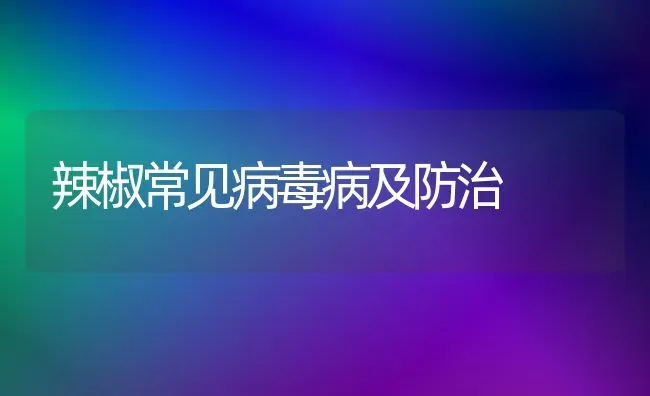 辣椒常见病毒病及防治 | 养殖技术大全
