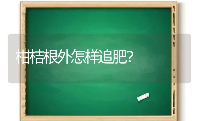 柑桔根外怎样追肥? | 养殖技术大全