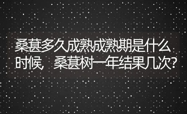 桑葚多久成熟成熟期是什么时候,桑葚树一年结果几次？ | 养殖科普