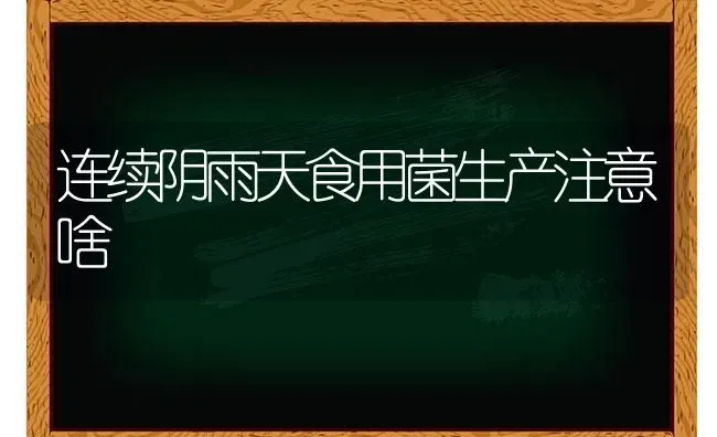 连续阴雨天食用菌生产注意啥 | 养殖技术大全