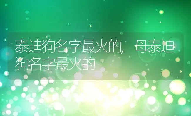 泰迪狗名字最火的,母泰迪狗名字最火的 | 养殖科普