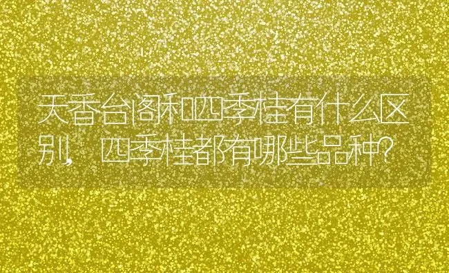 天香台阁和四季桂有什么区别,四季桂都有哪些品种？ | 养殖科普
