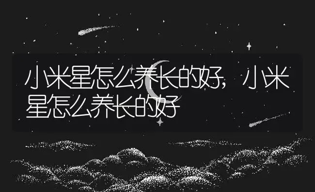 小米星怎么养长的好,小米星怎么养长的好 | 养殖科普