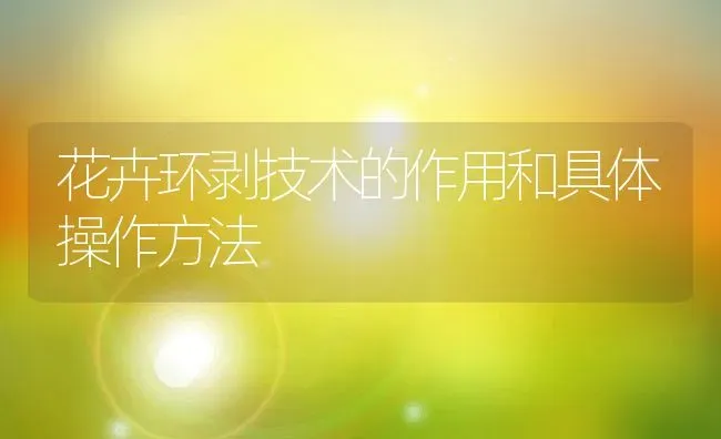 花卉环剥技术的作用和具体操作方法 | 养殖学堂