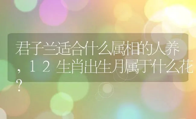 君子兰适合什么属相的人养,12生肖出生月属于什么花？ | 养殖学堂