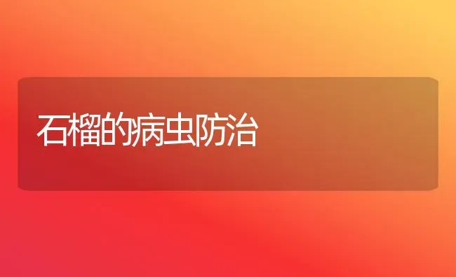 石榴的病虫防治 | 养殖技术大全