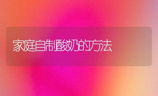 家庭自制酸奶的方法 | 养殖技术大全