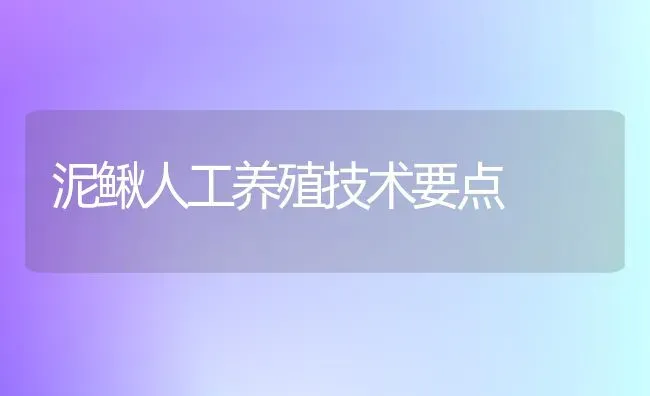 泥鳅人工养殖技术要点 | 养殖知识