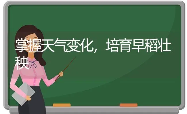 掌握天气变化,培育早稻壮秧 | 养殖知识