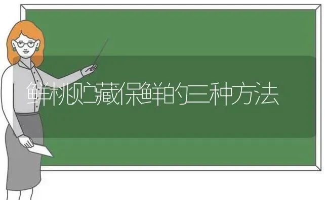 鲜桃贮藏保鲜的三种方法 | 养殖技术大全