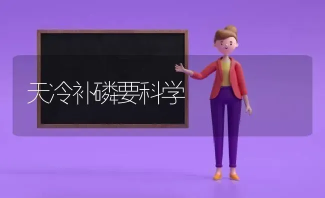 天冷补磷要科学 | 养殖技术大全