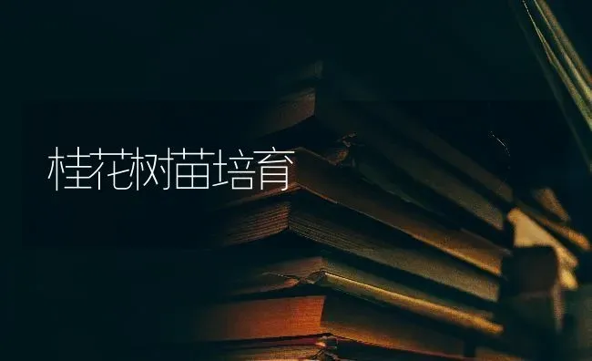 桂花树苗培育 | 养殖技术大全