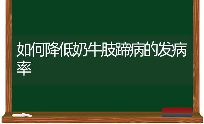 如何降低奶牛肢蹄病的发病率 | 养殖技术大全