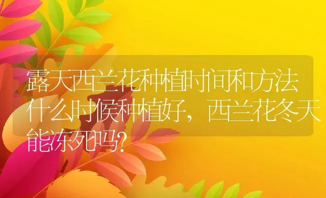 露天西兰花种植时间和方法什么时候种植好,西兰花冬天能冻死吗？ | 养殖科普