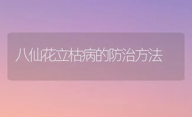 八仙花立枯病的防治方法 | 养殖知识