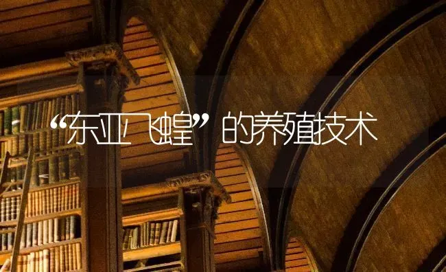 “东亚飞蝗”的养殖技术 | 养殖知识