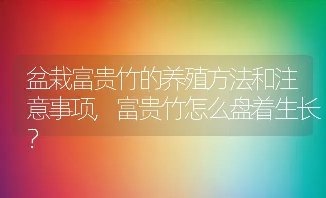 盆栽富贵竹的养殖方法和注意事项,富贵竹怎么盘着生长？ | 养殖科普