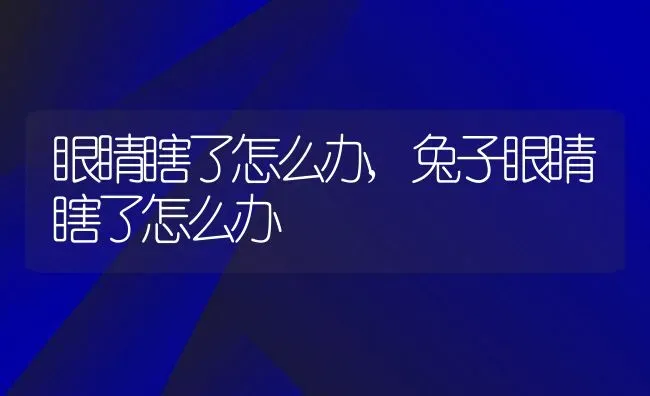 眼睛瞎了怎么办,兔子眼睛瞎了怎么办 | 养殖资料