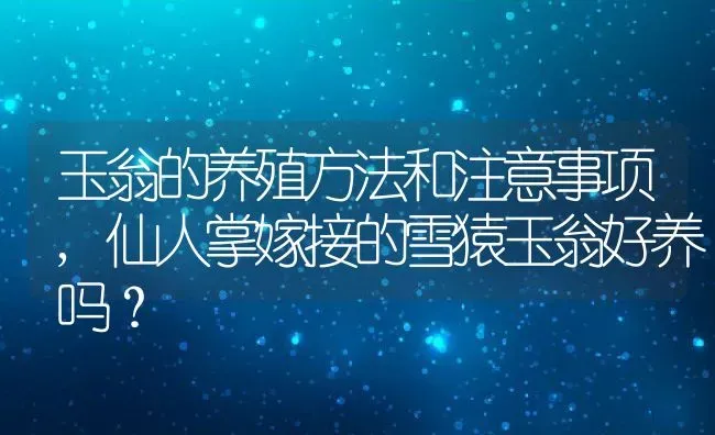 玉翁的养殖方法和注意事项,仙人掌嫁接的雪猿玉翁好养吗？ | 养殖科普