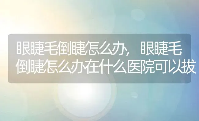 眼睫毛倒睫怎么办,眼睫毛倒睫怎么办在什么医院可以拔 | 养殖资料