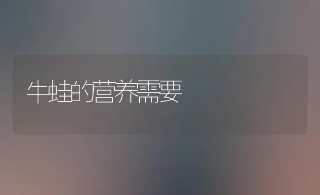 牛蛙的营养需要 | 养殖技术大全