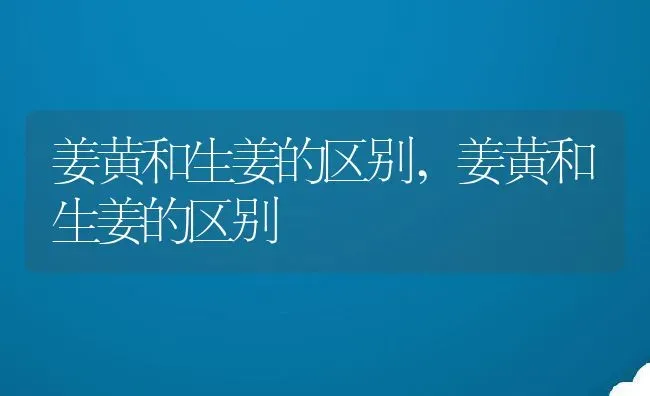 姜黄和生姜的区别,姜黄和生姜的区别 | 养殖科普