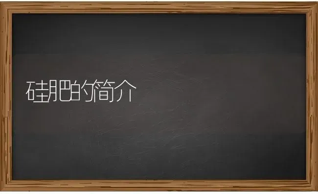 硅肥的简介 | 养殖技术大全