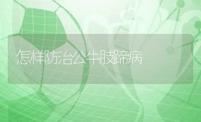 怎样防治公牛肢蹄病 | 养殖知识