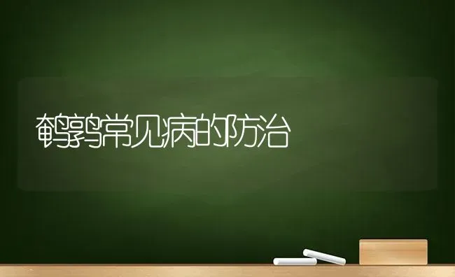 鹌鹑常见病的防治 | 养殖技术大全