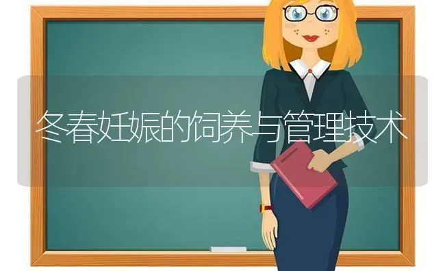 冬春妊娠的饲养与管理技术 | 养殖技术大全