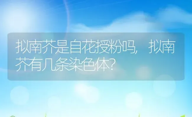 拟南芥是自花授粉吗,拟南芥有几条染色体？ | 养殖科普