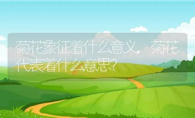 菊花象征着什么意义,菊花代表着什么意思？ | 养殖科普