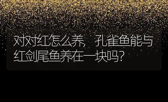 对对红怎么养,孔雀鱼能与红剑尾鱼养在一块吗？ | 养殖科普