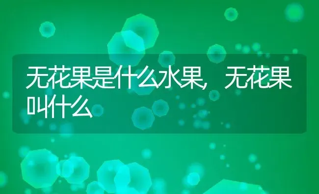 无花果是什么水果,无花果叫什么 | 养殖学堂