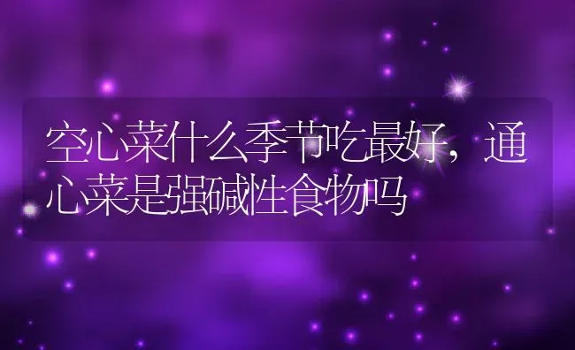 空心菜什么季节吃最好,通心菜是强碱性食物吗 | 养殖学堂