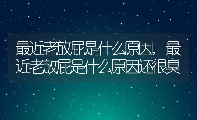 最近老放屁是什么原因,最近老放屁是什么原因还很臭 | 养殖资料