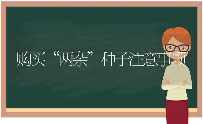 购买“两杂”种子注意事项 | 养殖知识