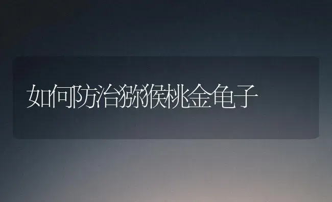 如何防治猕猴桃金龟子 | 养殖技术大全