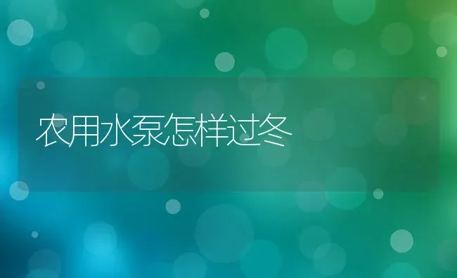 农用水泵怎样过冬 | 养殖知识